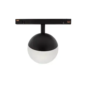Spectrum SYSTEM SHIFT 48V GLOBE LAMP Ceiling Luminaire, 5W, CCT