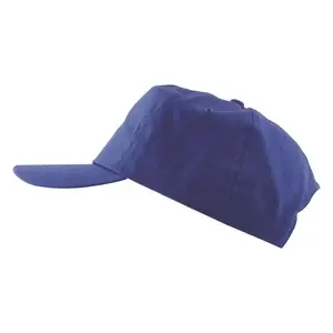 Ardon Lion Hat, blue