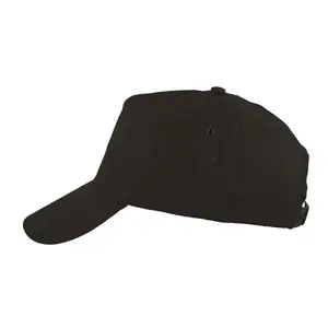 Ardon Lion Hat, black