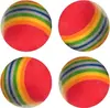 Rotaļlieta mājdzīvniekiem Flamingo Rainbow Ball Photo 2