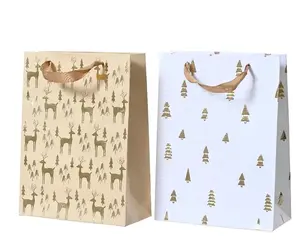 NENURODYTA_V Gift Bag 451838