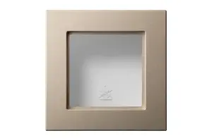 Liregus Epsilon Frame, champagne