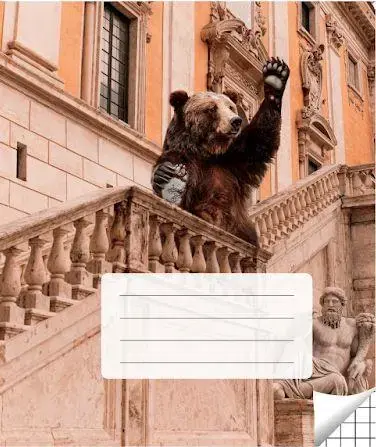 School Notebooks