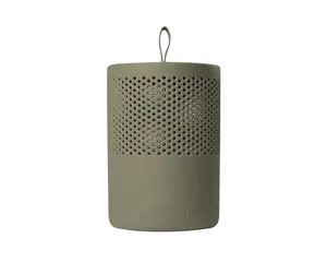 Поглотитель влаги Absodry Green