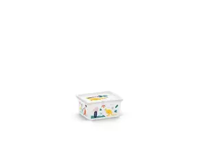 KIS BOXSTORAGE Storage Box with Lid 2L