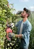 Аккумуляторный кусторез Skil Red GH1E0440AA 20В Photo 3