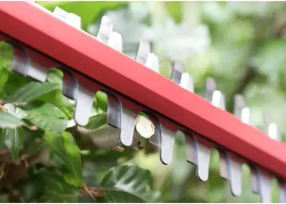 Skil Red GH1E0440CA Cordless Hedge Cutter Photo 3