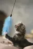 Karlie Fishing Rod Feather rotaļlieta kaķiem Photo 2