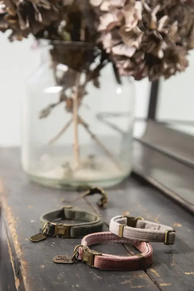 Designed by Lotte Velura Cat Collar by KARLIE Photo 5