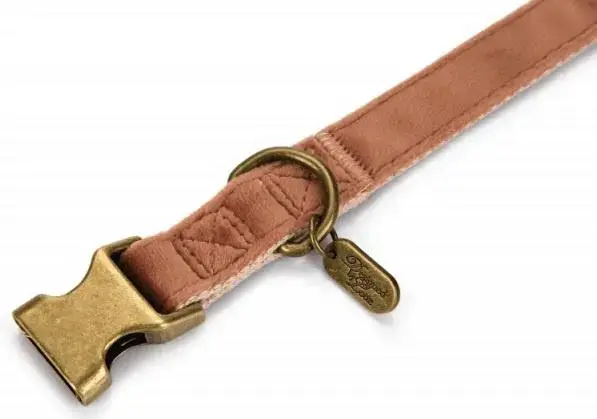 KARLIE Designed Velura Dog Collar 260-400mm Photo 2