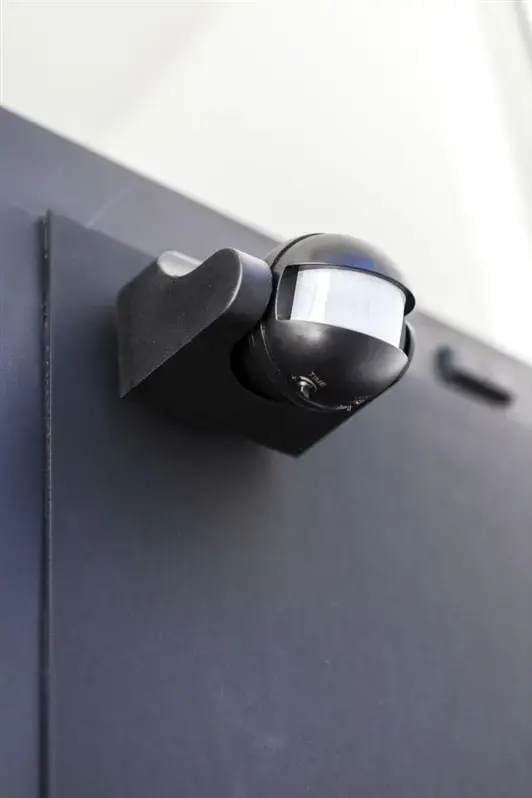 Датчик движения Lutec SPHERE 11 Вт Photo 2