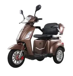 Электрический трехколесный мопед-скутер NENURODYTA_V T408-1 1 кВт 20 Ач