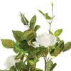 Atmosphera 121556 Artificial Plant in a Pot Photo 2
