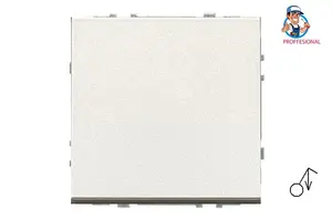 LIREGUS MODERN CH IIJ1.10-203-01.M/CH Impulse Switch