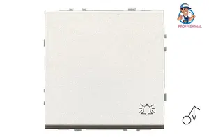LIREGUS MODERN CH Push-Button Switch IESJ1.10-201-01.M/CH