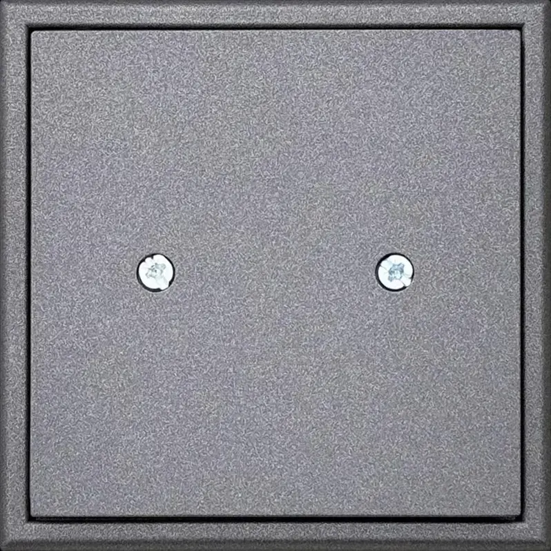 Декоративная рамка LIREGUS D-001-01.M/BM Modern Photo 2