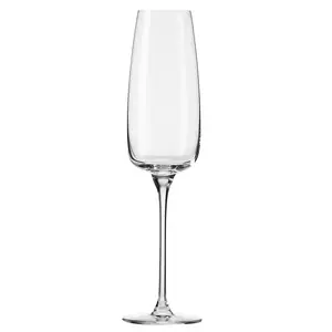Champagne glass set Modern, glass, 0.250 l, 4 pcs