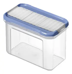 Rotho DOMINO Rectangular Storage Container 0.75 L Blue and Transparent