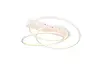 TRIO LED griestu gaismeklis 36W Photo 2