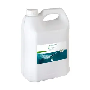 Pool Expert 95122 Algae Control Remedy, 5 Liters