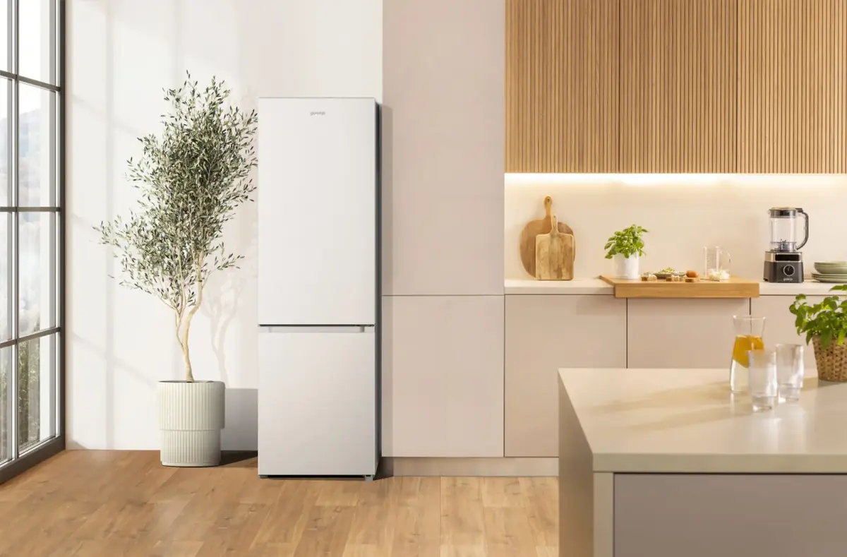 Холодильник Gorenje RK418DPW4I | Купить онлайн Photo 5