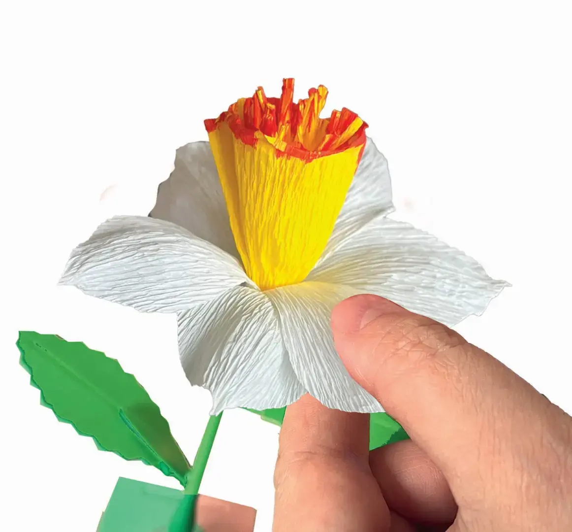 Clementoni 18876 Daffodil Creative Craft Kit Photo 5