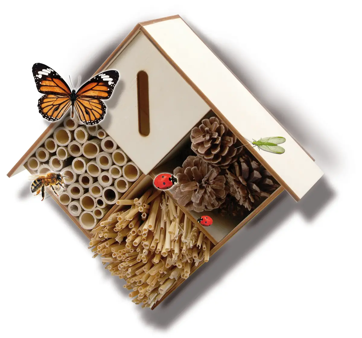 SES Creative Explore Insect Hotel Experiment Kit Photo 2