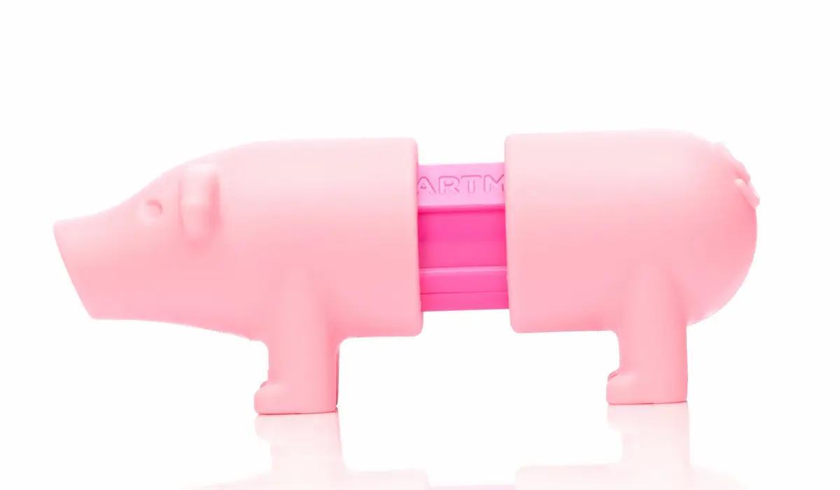 Магнитный конструктор SmartMax My First Farm Animals Photo 16