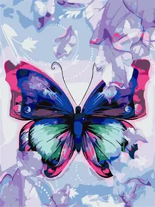 Centrum Painting by Numbers Butterfly 80909