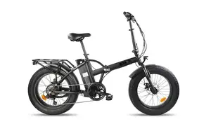 Elektriskais velosipēds Denver E2500 BASE, 20 collu riteņi, 250W motors