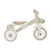 Globber LEARNING TRIKE 2IN1 PLUS Children's Bicycle Photo 3