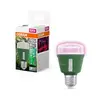 Osram LED Light Bulb E27 10W 330lm Photo 3