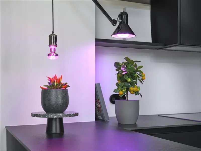 Osram LED augu lampa 7.5W E27 1300K Photo 2