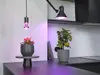 Osram LED augu lampa 7.5W E27 1300K Photo 2