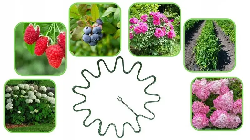 MESTER Plant Support 25x25 cm, 10 pcs Photo 2
