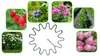MESTER Plant Support 25x25 cm, 10 pcs Photo 2