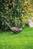Садовая фигура NENURODYTA_V Фазан Photo 3