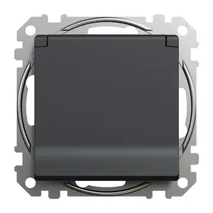 Schneider SDD214024 Socket IP44 Antracite