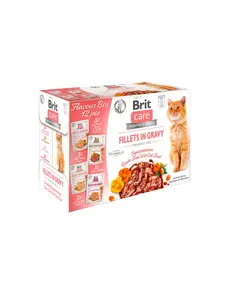 Влажный корм для взрослых кошек Brit Care в соусе 85 г
