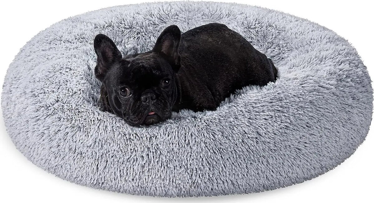 Pet Accessories