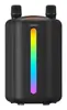 CARNEO Vibe Dragon+ Portable Bluetooth Speaker Photo 4