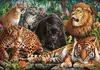 Clementoni 35584 puzzle 35584 Photo 2