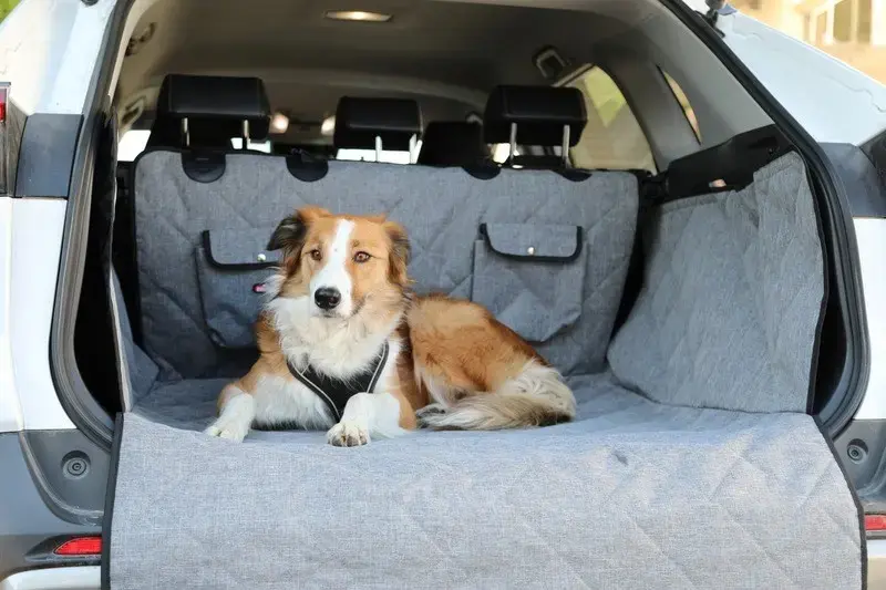 ZOLUX Nomad Car Trunk Protective Cover for Dogs Photo 3