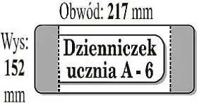 Обложка для дневника IKS формата A6