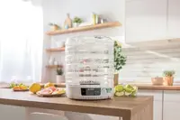 Gorenje FDK500GCW pārtikas žāvētājs Photo 6