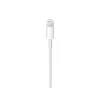 Apple Lightning uz USB-C kabelis 2 m Photo 3