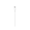 Apple Lightning uz USB-C kabelis 2 m Photo 4