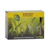 White Clover Seeds Rivendel 1 kg Photo 2