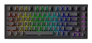 Akko TAC75 HE Gaming Keyboard, 75% Layout, Magnetic Switches, USB, QWERTY, Black