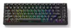 Akko TAC75 HE Gaming Keyboard 75% Magnetic Switch Photo 2